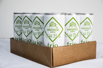 Exótico Cold Brew: Frio CBD Coffee (12-Pack)
